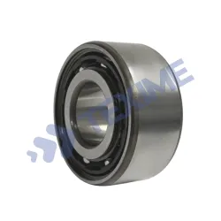 Double Row Angular Contact Ball Bearing 3209BTVH